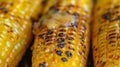 A closeup of charred corn on the cob with melted butter pooling in the nooks and crannies between the kernels Royalty Free Stock Photo