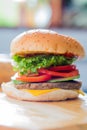 Closeup of a cheese burger Royalty Free Stock Photo