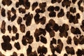 Closeup of Cheetah Print