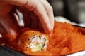 Closeup of chef hands rolling up sushi in flying fish roe (Tobiko) red caviar - focus on the roll. Royalty Free Stock Photo