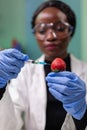 Closeup chemist scientist injecting nature strawberry with chemical pesticides