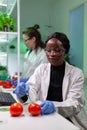 Closeup of chemist scientist injecting organic tomato with pesticides