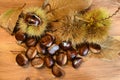 Closeup on chestnuts and curly on wooden background with chesnut tree leaves. Royalty Free Stock Photo