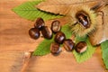Closeup on chestnuts and curly on wooden background with chesnut tree leaves. Royalty Free Stock Photo