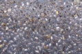 Closeup chia seed in water