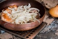 Closeup of chicken meat strips cooking , Preparation of chicken thigh in a frying pan with chopped onion and garlic, on a metal st Royalty Free Stock Photo