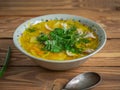 Closeup chicken soup sprinkled with chopped onion feathers in a deep ceramic plate Royalty Free Stock Photo