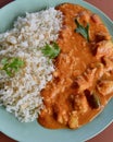 A closeup of chicken tikka masala curry with rice Royalty Free Stock Photo