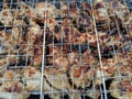 Closeup of Chicken wings and kebabs and on BBQ