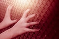 Closeup child girl hand holding steel cage fence Royalty Free Stock Photo