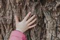 Closeup of child hand touching old tree. World Earth Day holiday. Natural wooden texture background. Save the planet nature