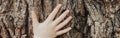 Closeup of child hand touching old tree. World Earth Day. Save the planet nature environment concept. Connection with mother