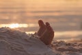 Closeup child kid feet on white sand beach. Royalty Free Stock Photo