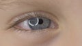 Closeup of child`s eye macro.