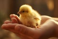 Closeup of a childs hand holding a delicate baby