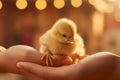 Closeup of a childs hand holding a delicate baby