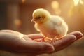 Closeup of a childs hand holding a delicate baby