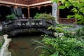 Closeup of a chinese garden in wuhan city