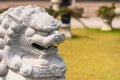 Closeup of Chinese lion sculpture in green garden Royalty Free Stock Photo