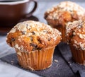 Closeup of A Chocolate Chip Muffin Royalty Free Stock Photo