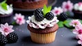 Closeup Chocolate Cupcake Top With Blackberry, Tasty Chocolate c