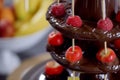 closeup of a chocolate fountain with fruits on skewers Royalty Free Stock Photo