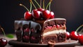 Closeup Chocolate Layer Cake With Cherry on Top Cake on Wood Pla