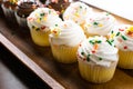 Vanilla and chocolate cupcakes with sprinkles Royalty Free Stock Photo