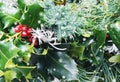 Closeup of Christmas crowns composition. Top view of pine and bay tree branches - Vintage retro Christmas concept with snow