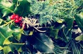 Closeup of Christmas crowns composition. Top view of pine and bay tree branches - Vintage retro Christmas concept