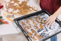 Closeup of Christmas figured gingerbread biscuits in oven tray ready for baking. Royalty Free Stock Photo