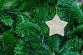 Closeup of Christmas-tree branch background and gold star bauble. Royalty Free Stock Photo