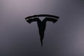 Closeup chromium-plated Logotype Tesla Motors on silver hood, most popular passenger electric car in world, Elon Musk, Tesla is