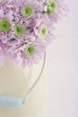 Closeup of chrysanthemum flowers Royalty Free Stock Photo