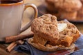 Closeup of a Cinnamon Muffin Royalty Free Stock Photo