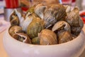 Closeup clams in dish