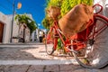 Closeup of the classical bicycle parked in the middle of the old town surrounded by flowers