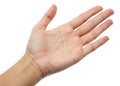 Closeup of Clean Open Empty Hand Palm Against White Background Royalty Free Stock Photo