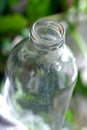 closeup clear glass bottle isolated on blurred background
