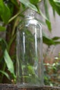 closeup clear glass bottle isolated on blurred background