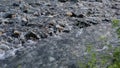 Closeup clear water flow over rock