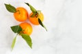 Closeup of Clementines on White Marble Background