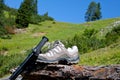 Closeup of climbing shoes and a mountain climbing stick on a piece of wood