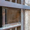 Closeup of a closed rusted iron bars of cell door in closed abandoned prison Royalty Free Stock Photo