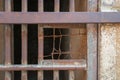 Closeup of a closed rusted iron bars of cell door in closed abandoned prison Royalty Free Stock Photo