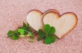 Closeup clover leaf and stone Royalty Free Stock Photo
