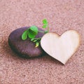 Closeup clover leaf and stone . Royalty Free Stock Photo