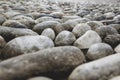 Closeup cobblestone, pebble old pavement