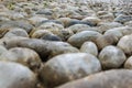 Closeup cobblestone, pebble old pavement