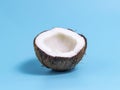 Closeup of coconut on blue background. Summer background Royalty Free Stock Photo